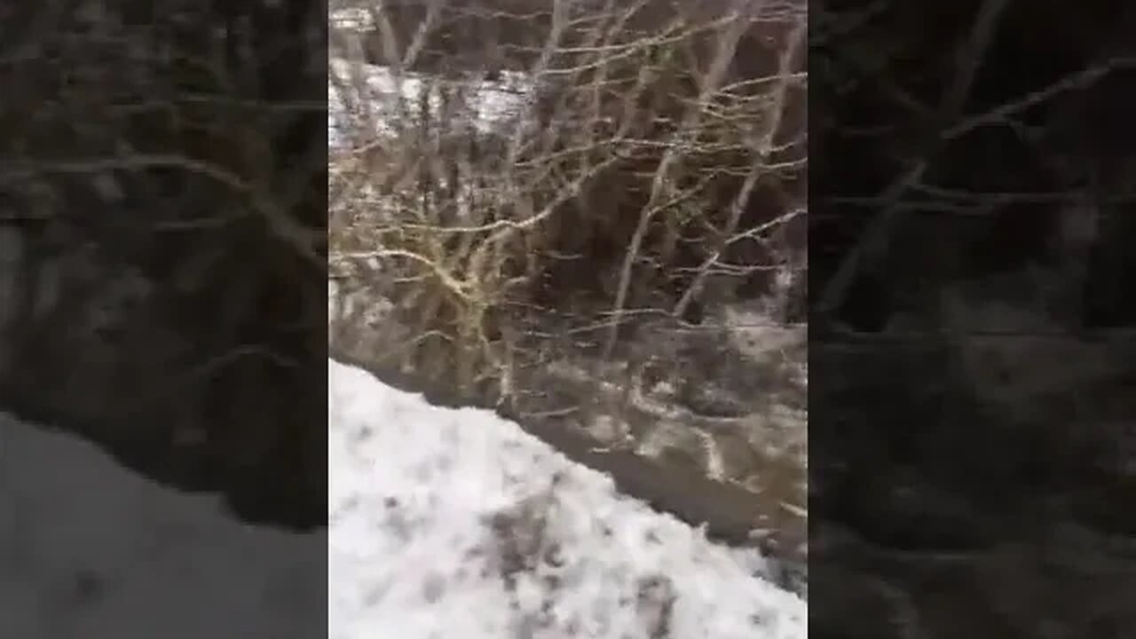 Ice jam causes flooding in Fishtail, Montana