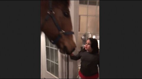 Girl Is Delighted When Horse Comes In The House