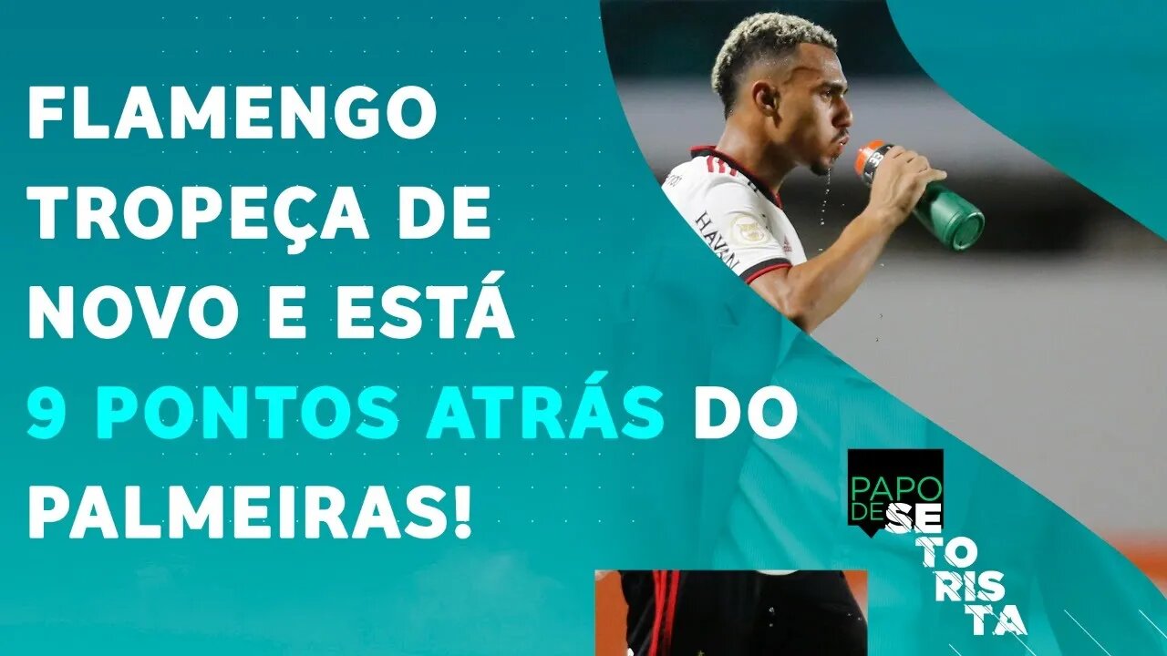 O Flamengo DESISTIU do Brasileirão? Só UM MILAGRE tira o TÍTULO do Palmeiras? | PAPO DE SETORISTA