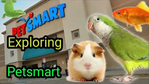 ANIMAL FRIENDS EVERYWHERE! EXPLORING PETSMART ! friendly envierment