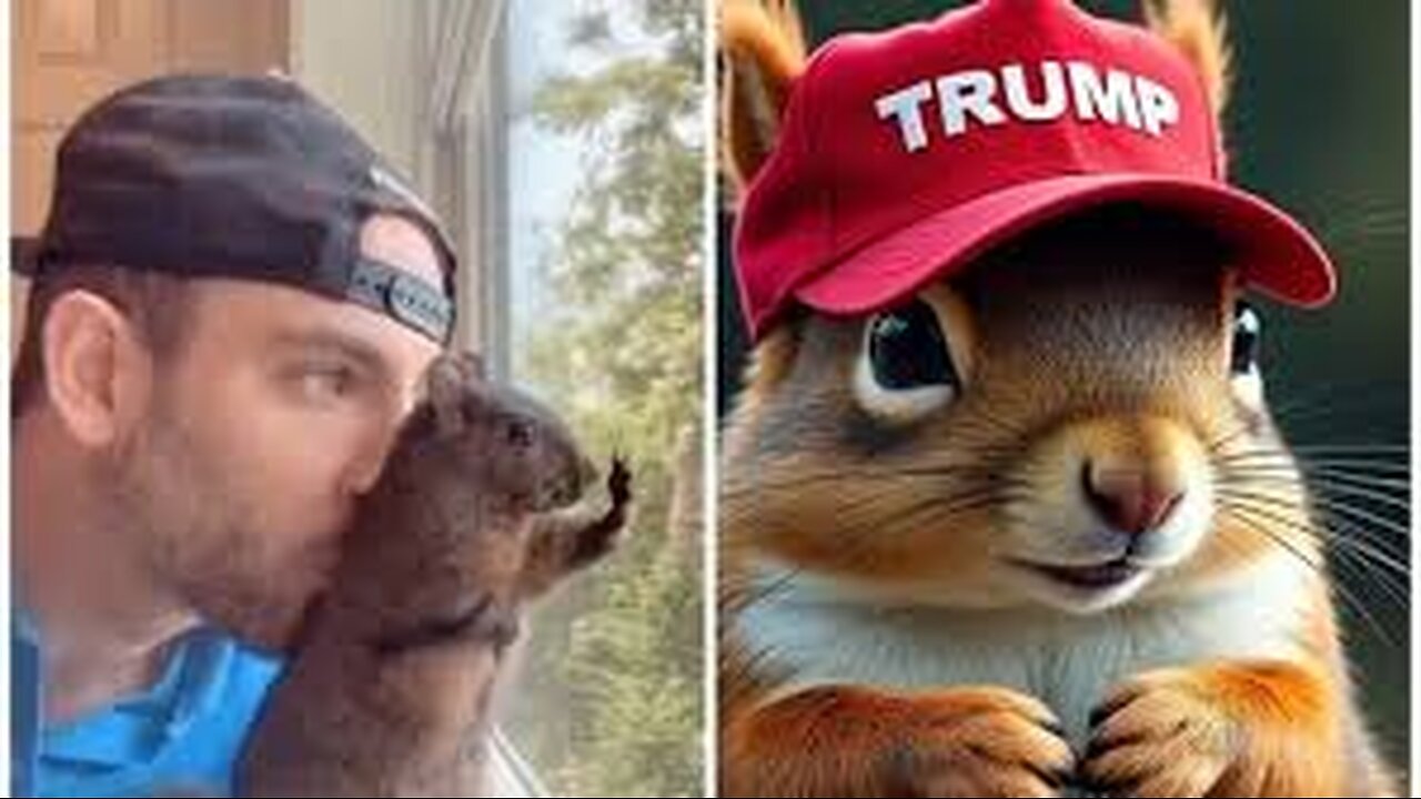 New York State KILLS Mark Longo's Peanut the Squirrel and Racoon - THIS IS AN OUTRAGE! Viva Frei