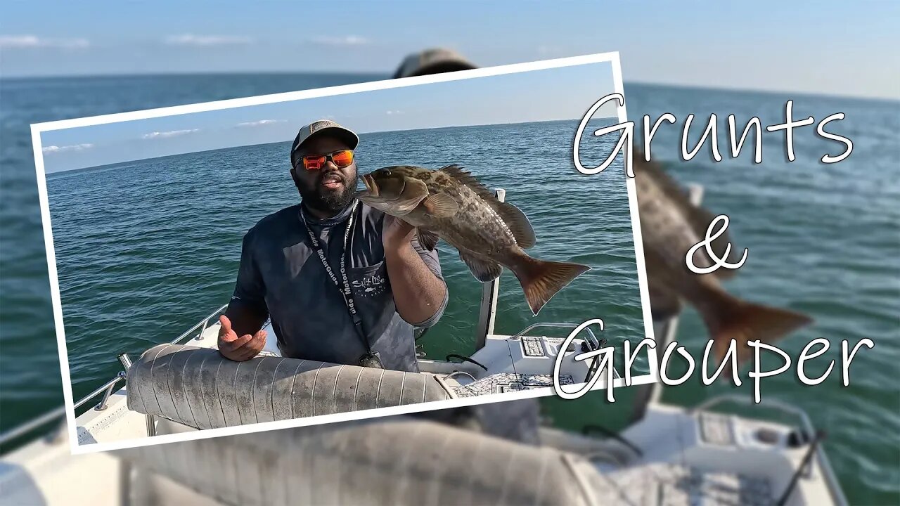 Grunts and Grouper | Slow Tampa Bay Fishing Day