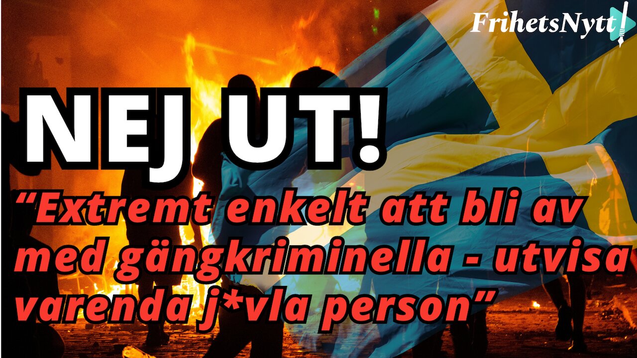 Lösningen på gängkriminaliteten som politiker VÄGRAR prata om