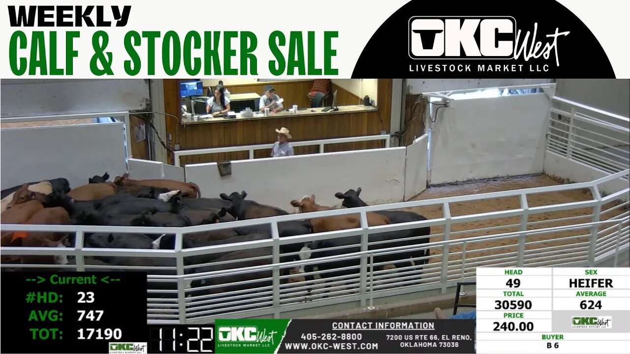 7/25/2023 - OKC West Calf and Stocker Auction