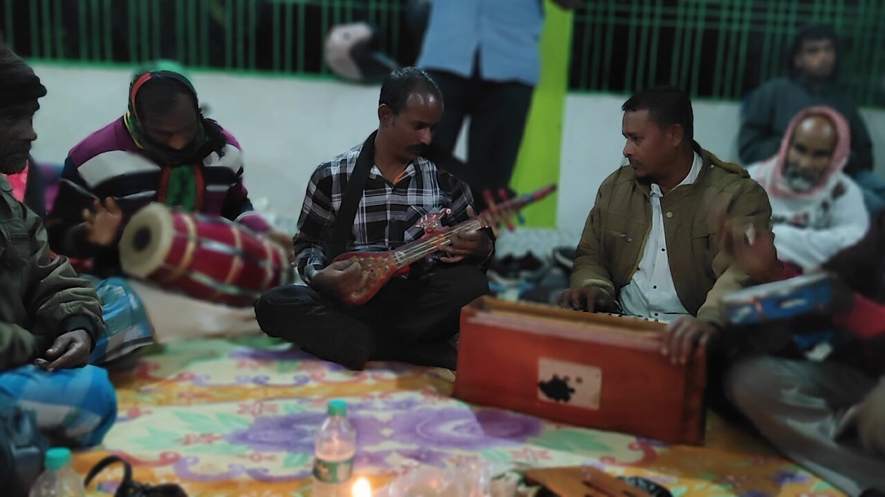 bawol