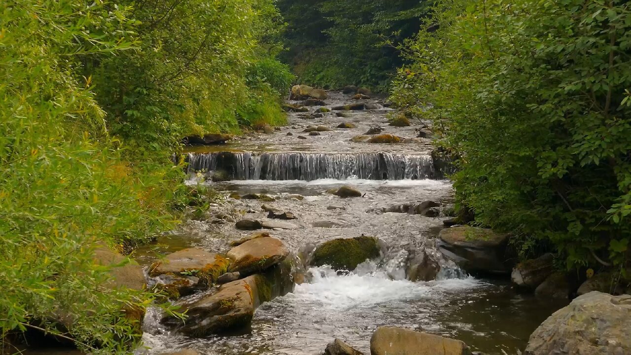 Calming Forest Stream for Sleeping and Meditation