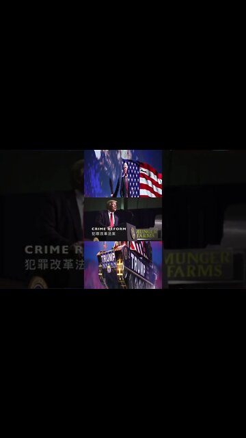 Anime + Trump = Good Bants