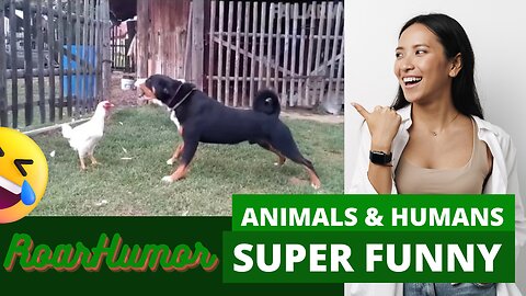 Animals and humans Super Funny