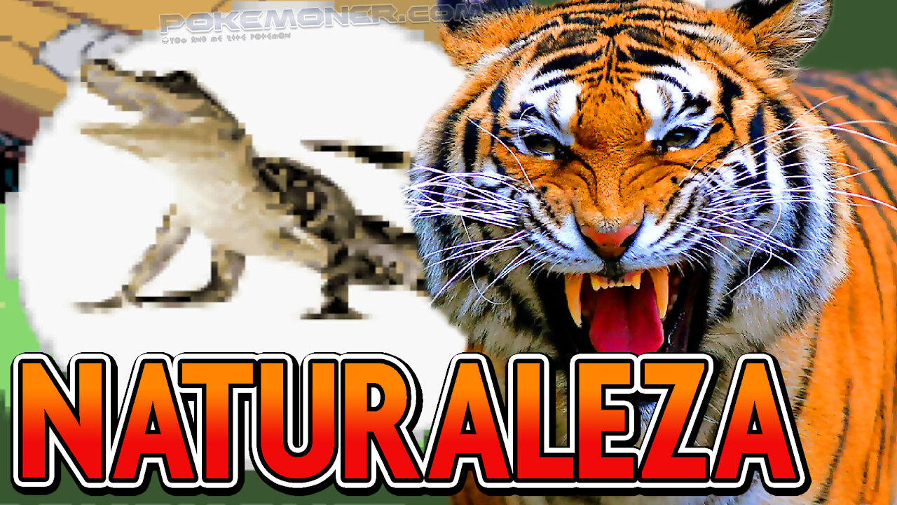 Pokemon Nature (Naturaleza) - New GBA Pokemon ROM but you capture animals, dinosaurs with new area