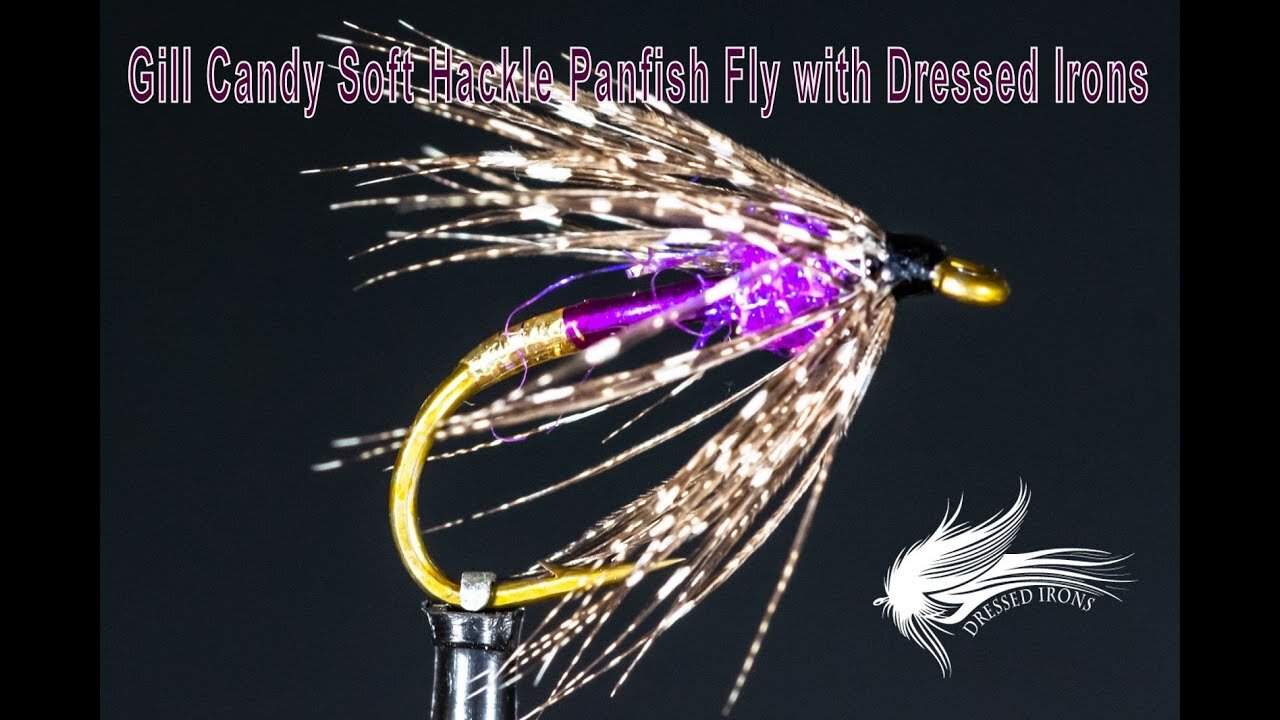 Tying the Gill Candy Soft Hackle Panfish Fly - Dressed Irons