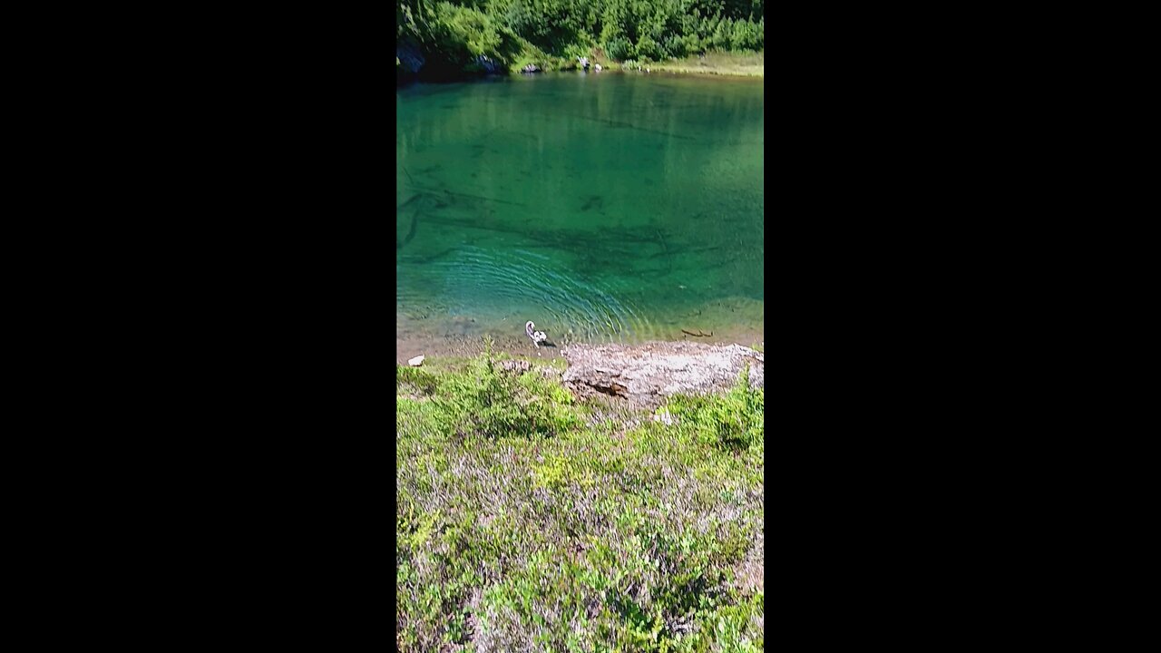 Twin Lakes
