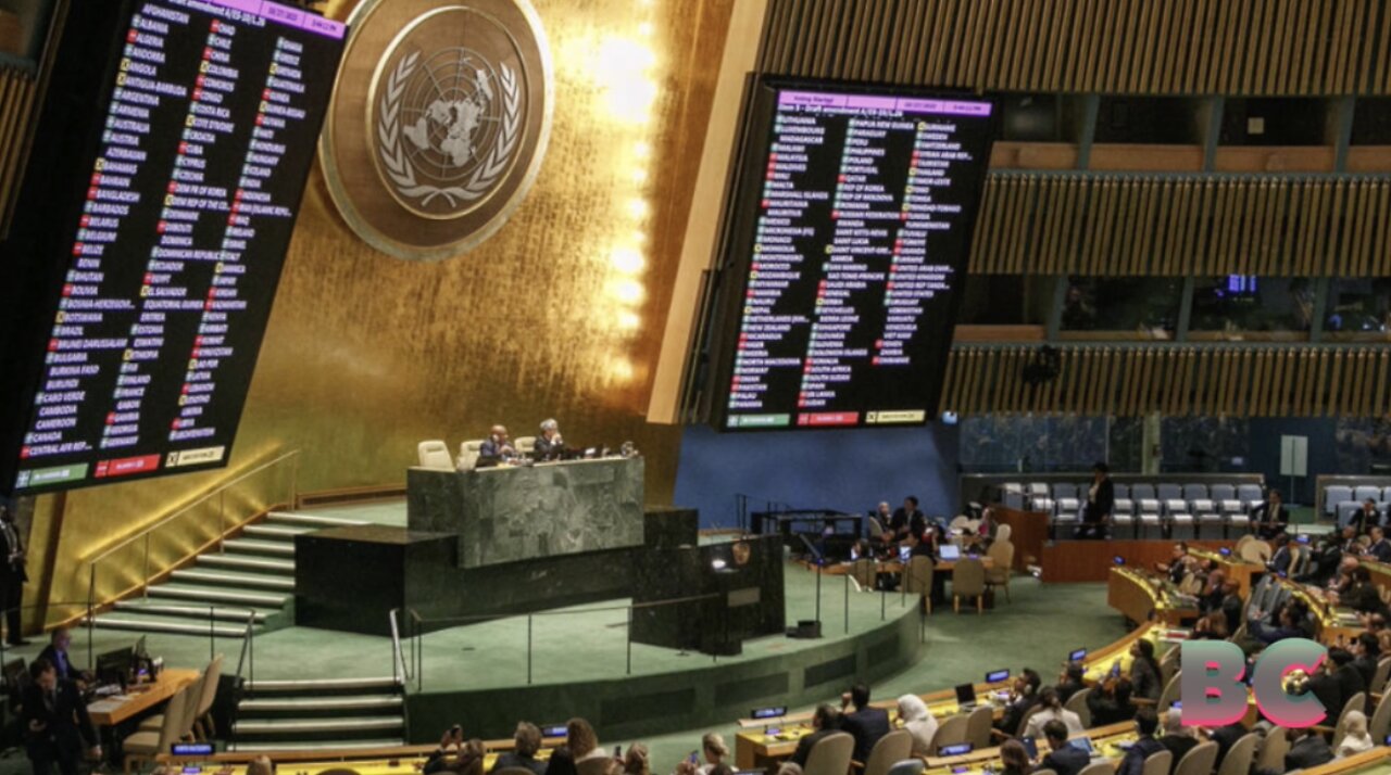 UN General Assembly backs Palestinian bid for membership