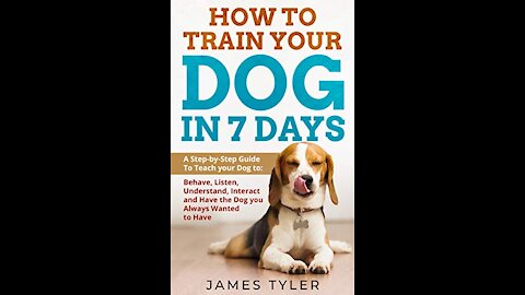 top 7 things to train your dog