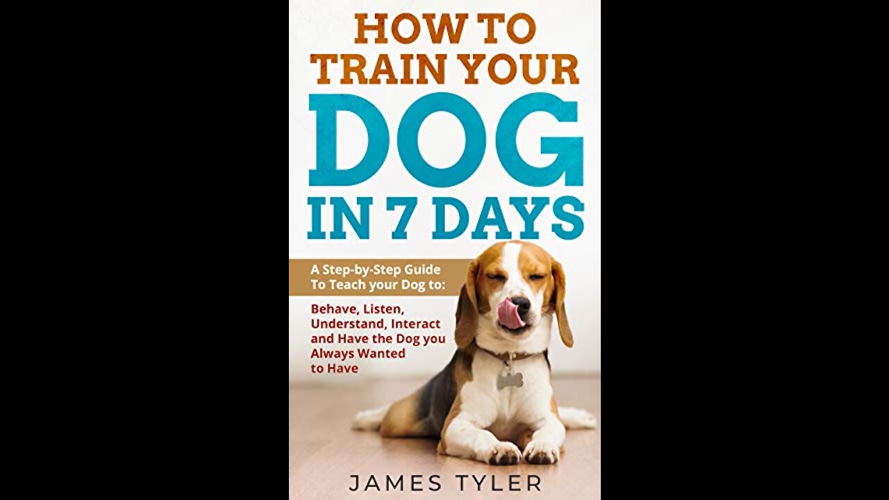 top 7 things to train your dog