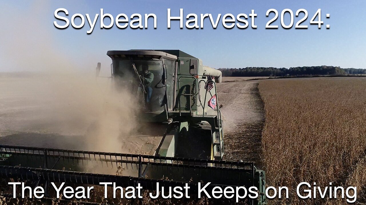 Soybean Harvest 2024: The Year That Just Keeps On Giving