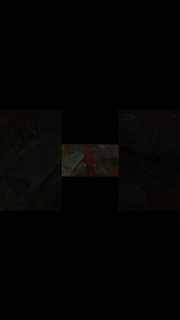 Resident Evil 4 :) So no head?