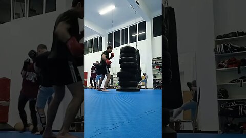 Kick, punch, Elbow and Knee The Bag (36)