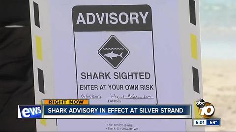 Great white shark spotted at Silver Strand; advisory in effect