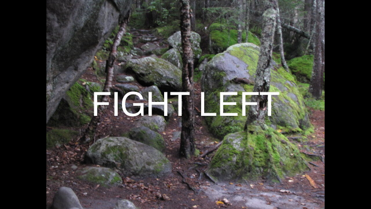 FIGHT LEFT