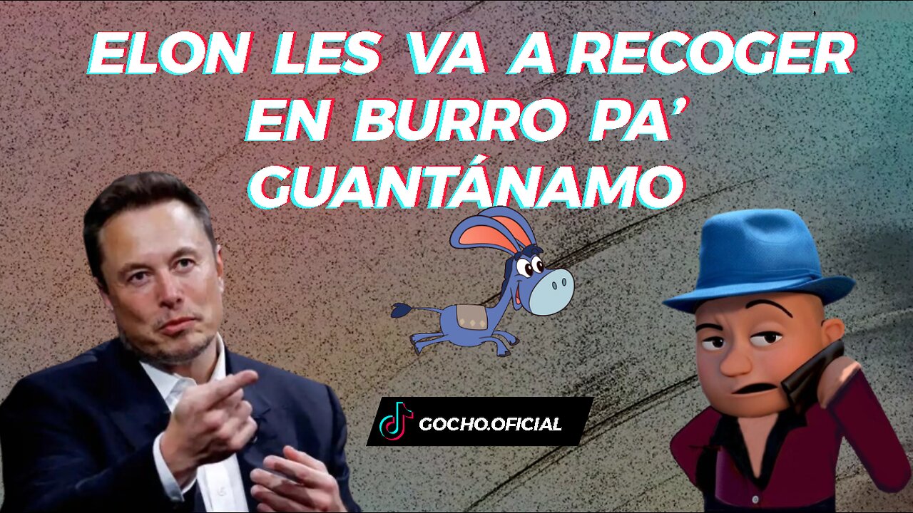 [08SEP2024] ELON LES VA A RECOGER EN BURRO PA’ GUANTÁNAMO [GOCHO.OFICIAL]