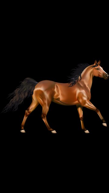 Wild Horses #AppleEvent