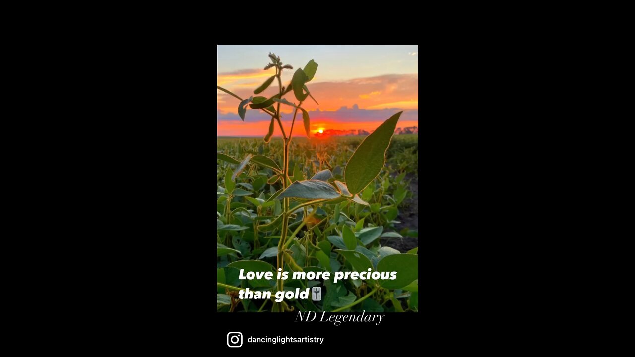 Love is more precious than gold🎚