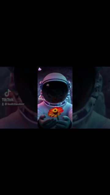 Smart contract on zinnia network?