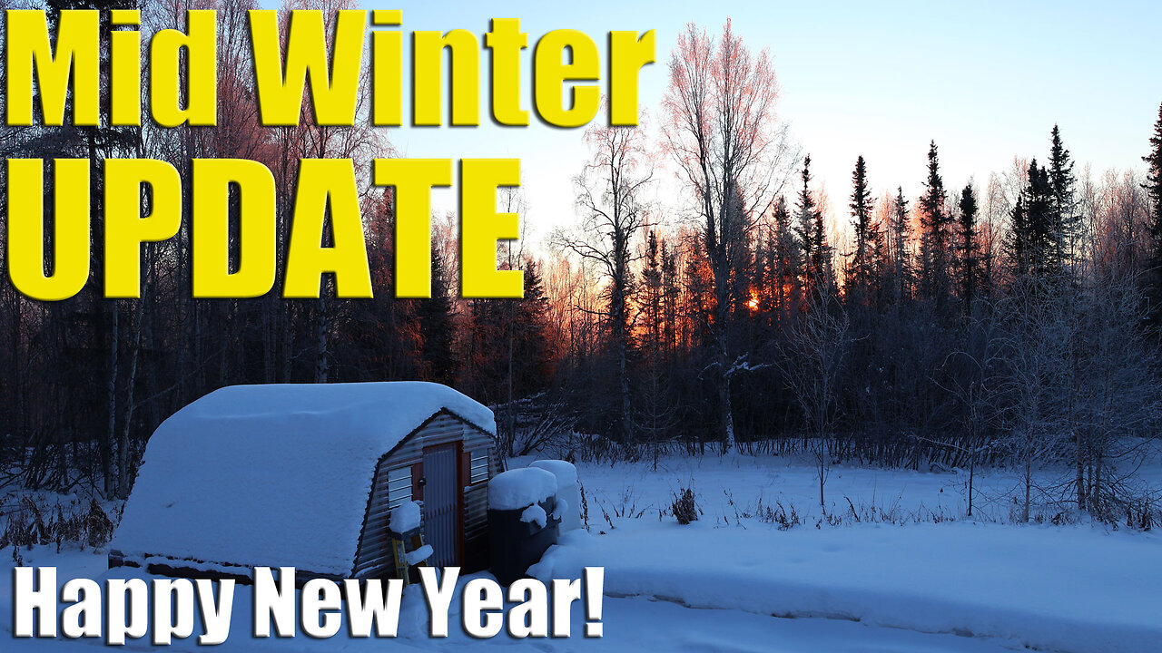 Frosty Garden's Mid Winter Update & Happy New Year