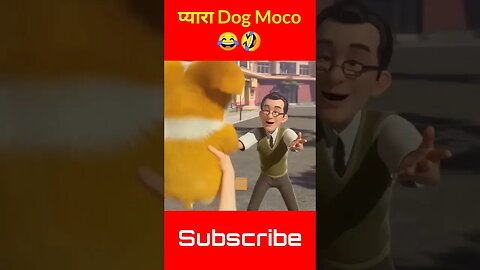 प्यारा Dog Moco 😂🤣 Moco Dog Funny Shorts Video #kvideo