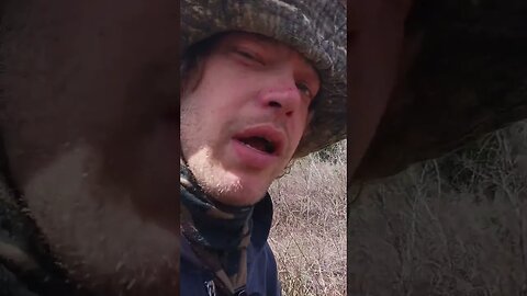 The whole area filled with tires.