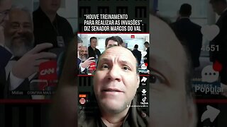 Senador disse pessoas tiveram treinamento para invasão a prédios públicos