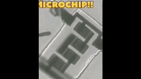 Microchip that's implanted is magnetic indeed! Watch 3:45 onwards