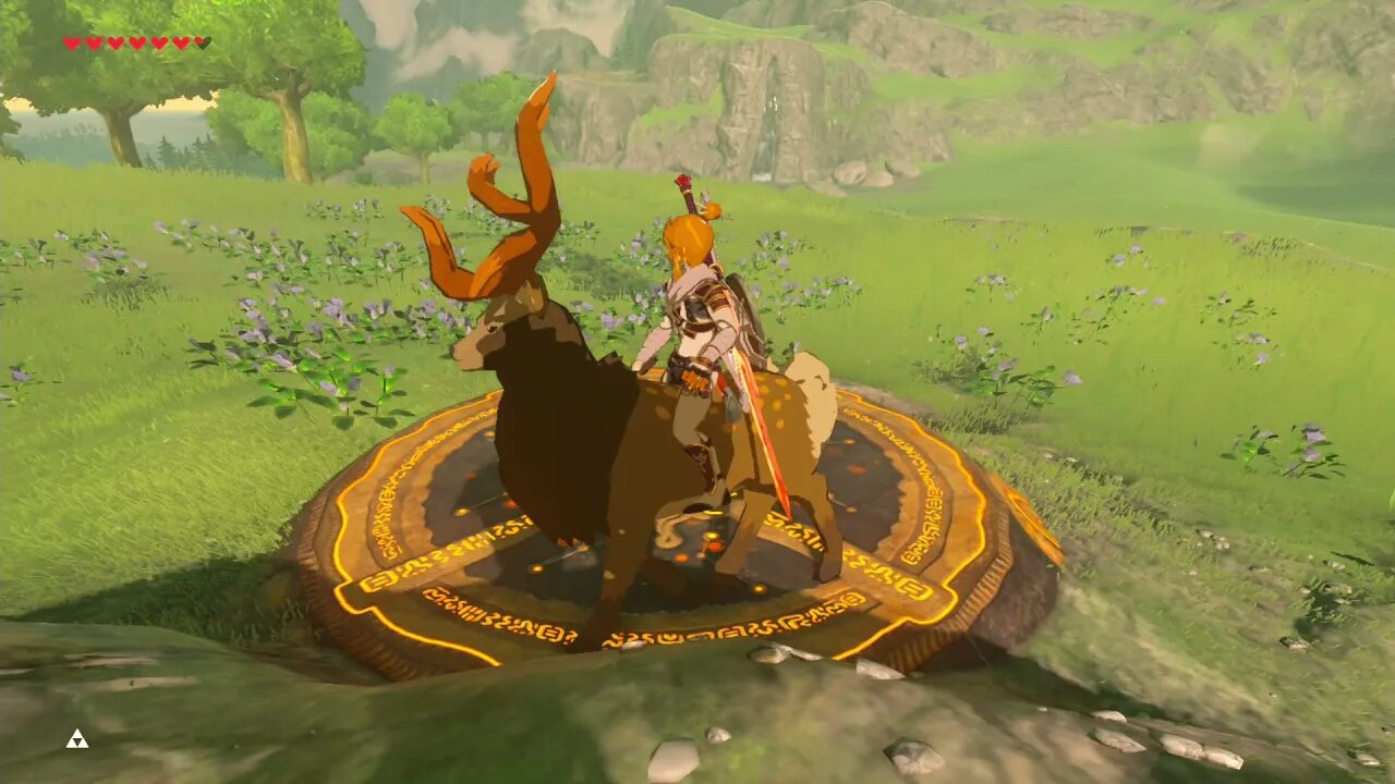 Breath of the Wild Master Mode 59