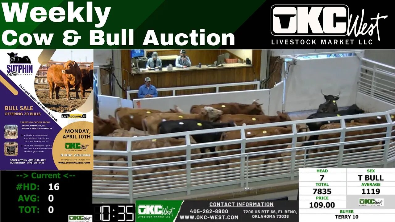 4/10/2023 - OKC West Weekly Cow & Bull Auction