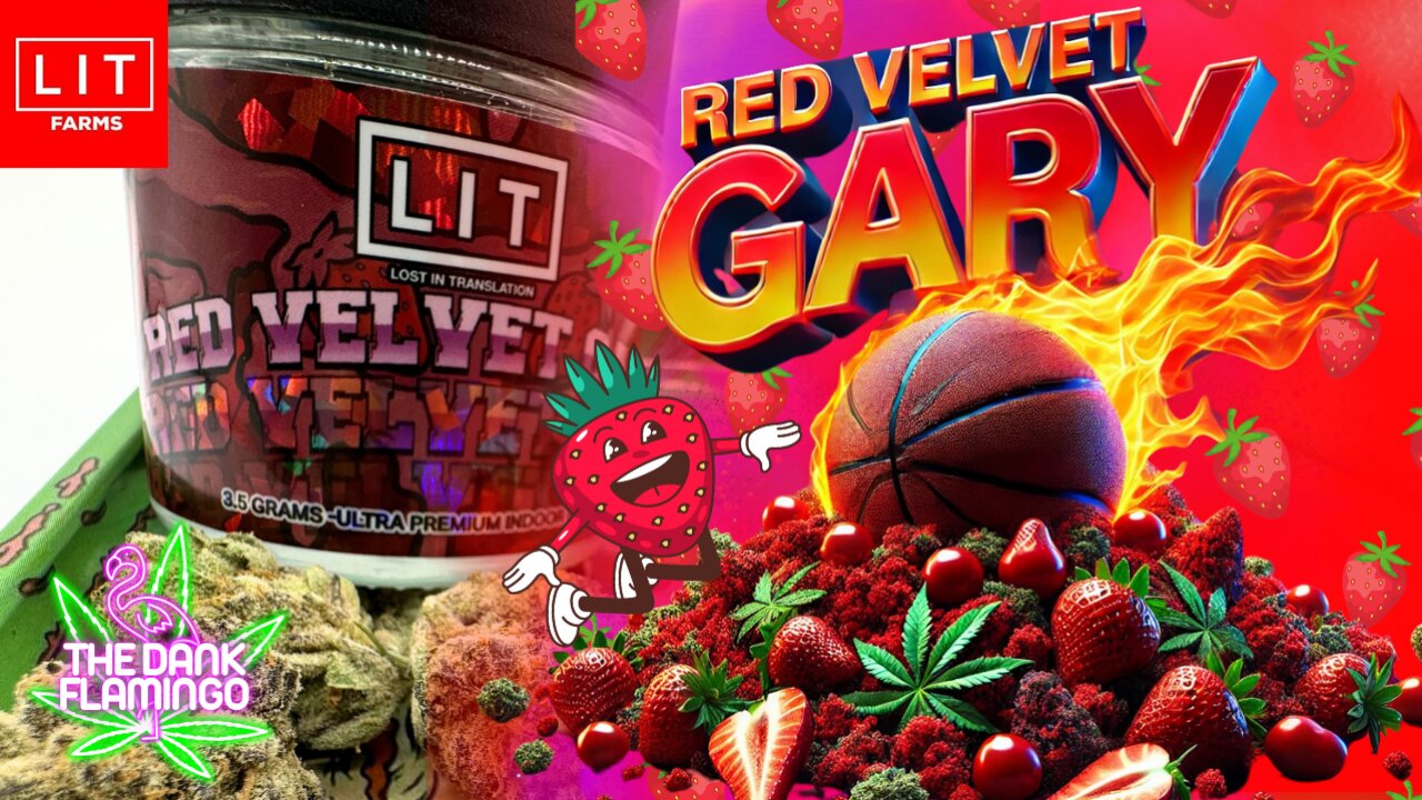 Trying Red Velvet Gary THCa from Lit Farms! The Dank Flamingo Cannabis Review!!