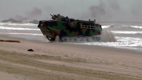 Dawn Blitz 2011 - AAV Landing