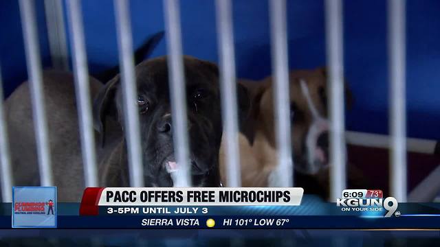 Free pet microchipping ahead of the Fourth of July