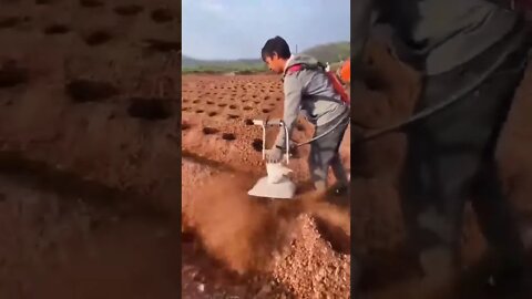 Methods of harvesting made easy with Machines #agriculture#Engineers #shorts