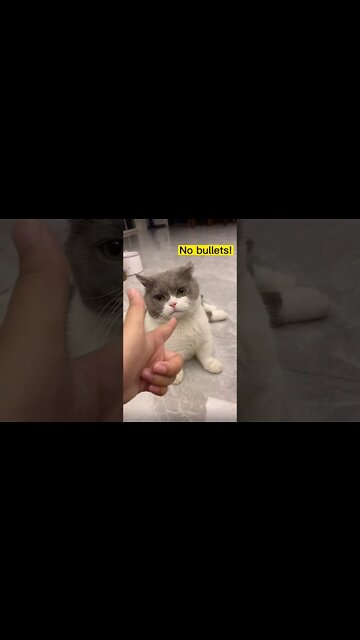 Most Amazing and trending video||relaxing your mind||trendig videos|| #shorts #trending #viral #live