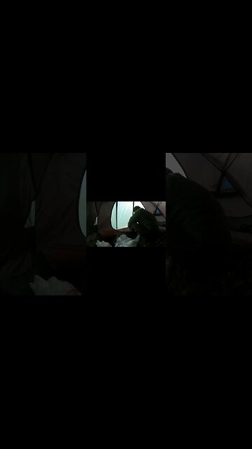 Opening the snugpak scorpion 3 from the inside 19th Jan 2023