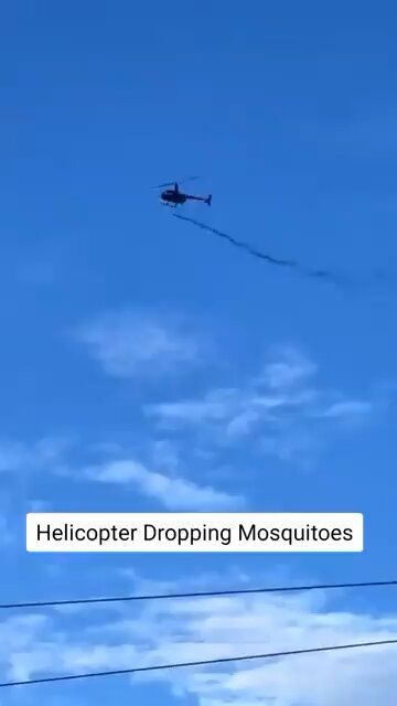 Massachusetts Towns Brace for Lockdown Due to Deadly Mosquitoes