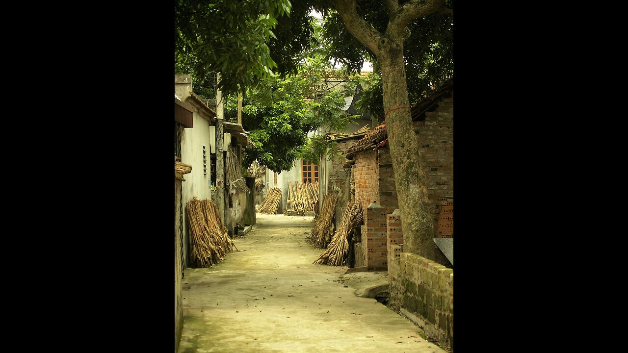 Village | Nature | Assam |