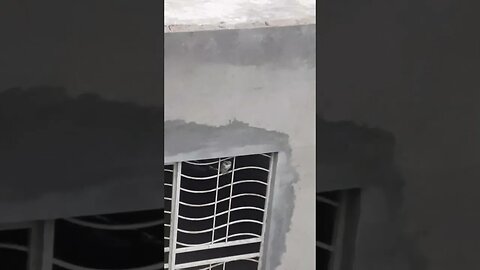 Owl is staring #owl #birds #eye #morning