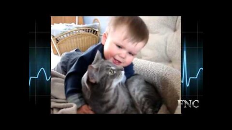 DingDon! Cute Cat Love Baby, cannot stop laughing !!!