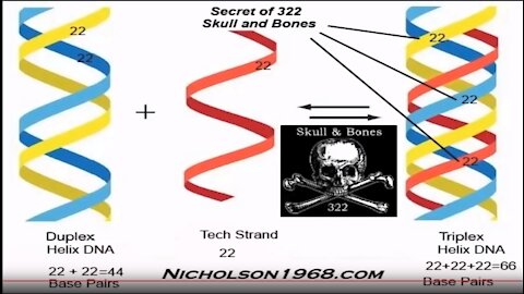 322 Skull and Bones 3rd Strand DNA