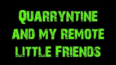Quarryntine and my remote little Friends
