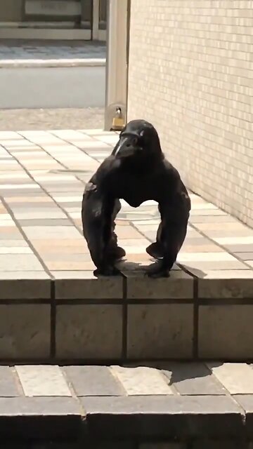 You’re going for your work and you see this. What are you doing?