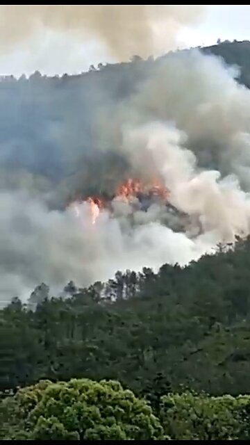 Powerful visuals china crash- A #Boeing-737 flight carrying 133 people #crashed in Tengxian China