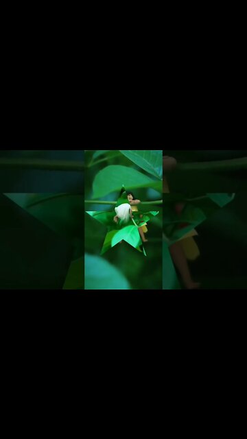 Best Videos Of Funny Twin Babies Compilation - Twins Baby Video