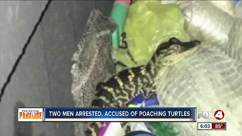 Two men arrested, accused of poaching thousands of turtles